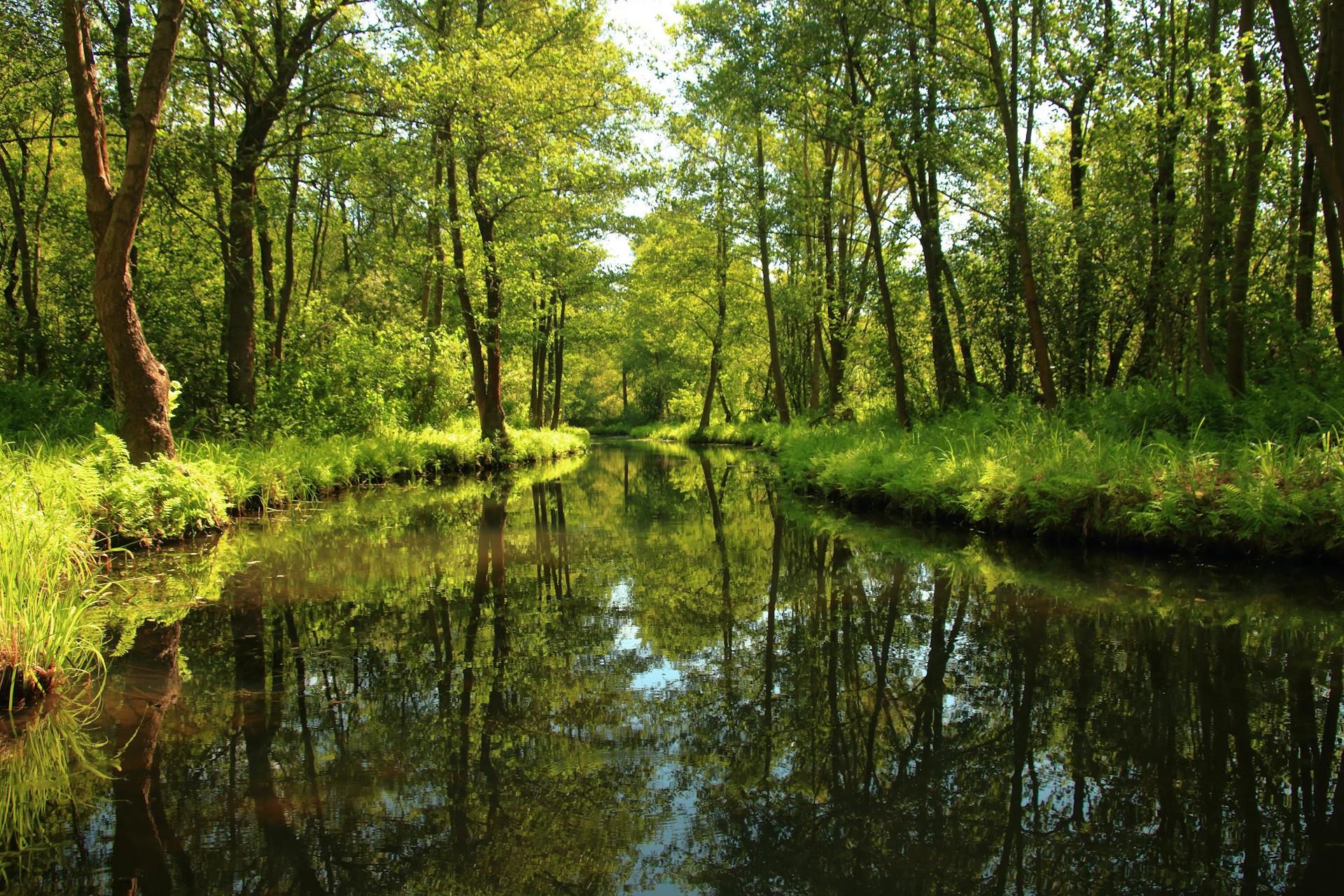Spreekajak Lübben - Verkauf und Verleih - Die Spree